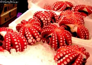 Tsukiji-Fish-Market-Tokyo-Octopus